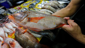 Fish import quota for Q4 set at 25,000 MT