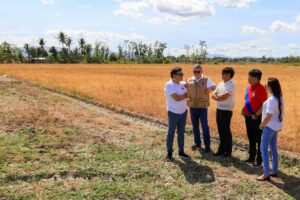 Marcos eyes solar-powered post-harvest facilities