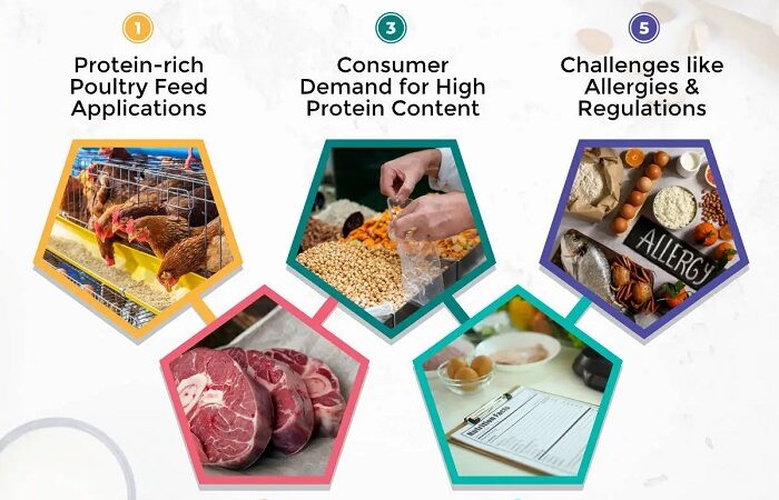 Key Trends to Look Out for in the Alternative Protein Market