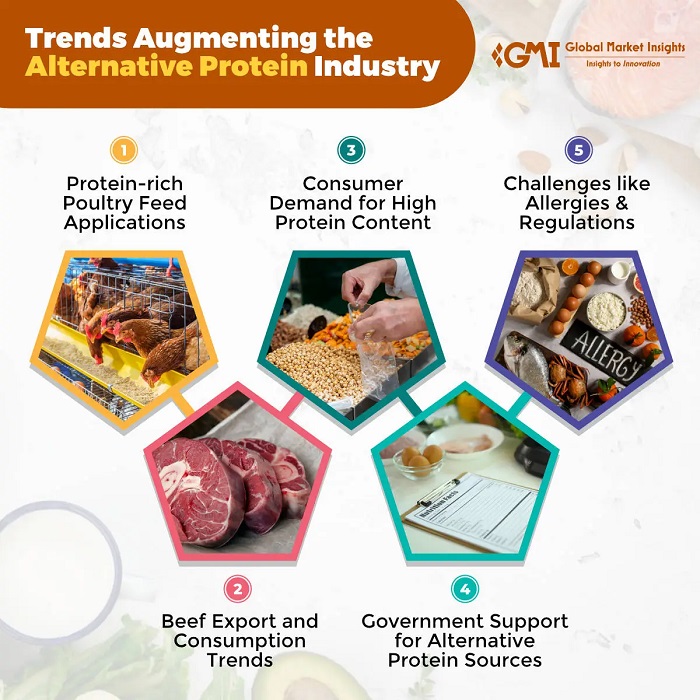 Key Trends to Look Out for in the Alternative Protein Market