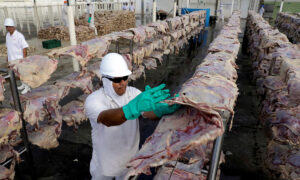 Meat imports rise 9.6% in first half