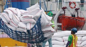 Rice imports hit 2.57 MMT as of Aug. 8