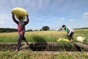 More investment urged to boost agri production