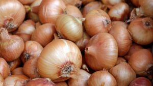 PHL to allow yellow onion imports of up to 16,000 MT