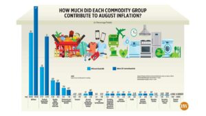 How much did each commodity group contribute to August inflation?