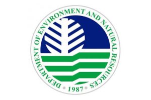 Improve budget use, DENR told