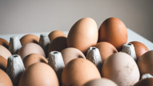 Egg industry dev’t program to feature storage projects