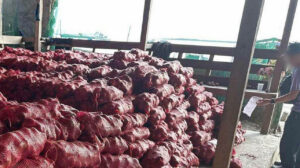 PCC says 12 onion traders attempted to corner import market