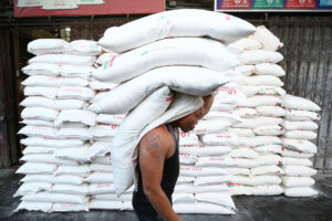 National rice inventory up 14% in early August