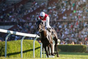 Betting on Victory: How to Decode Breeders’ Cup Odds Like a Pro