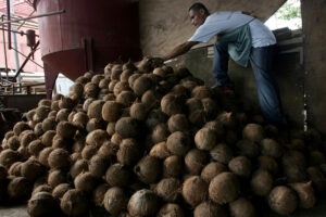 Philippines hoping to ship more coconut products to Europe