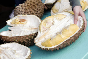 Durian exporters awaiting China clearances to ship frozen durian