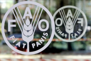 FAO working to expand Philippine Anticipatory Action project