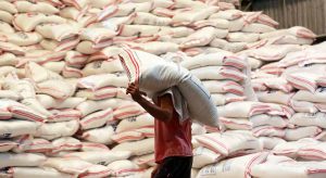 Philippine rice inventory up by 6.8%