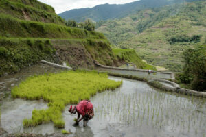 DA to aid to typhoon-hit Cordillera farmers