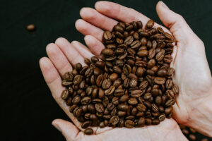 Coffee industry targeted for yield improvement