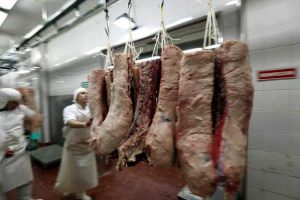 Meat imports up 11.06% by volume in August