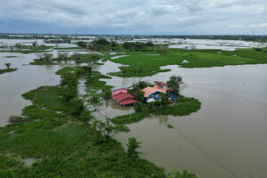 DA expects lower palay output this year due to bad weather