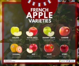 Bonjour French Food: An introduction of French apples and celebration of culinary innovation