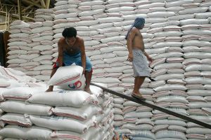 National rice inventory up 5.4% as of Oct. 1