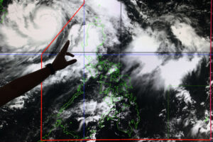 Typhoons force rethink of planting strategies in storm-damaged areas