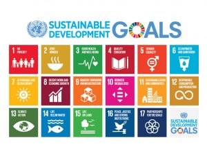 UNDP launches SDG Investor Map for PHL; BoI cites opportunities in renewables