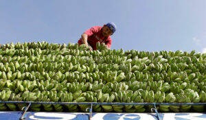 Agricultural trade deficit tops $3 billion in Q3