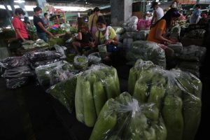 Review of agri production system pushed to reduce import dependence