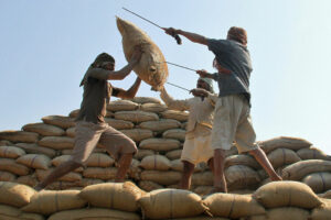 Pakistan, India in talks with PHL for rice supply deals