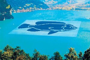 Blueleaf in talks with Chinese firms for floating solar projects