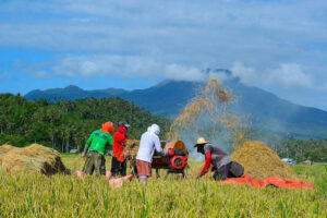 Pasteurizers, rubber sheeters scarcest agricultural equipment at barangay level