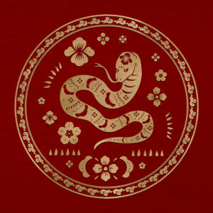 Year of the Wood Snake emphasizes the need for cooperation