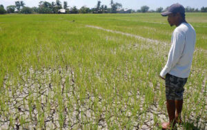 2024 farm output shrinks 2.2%