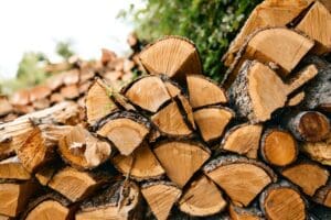 6 Best Woods for Heat and 6 Worst for Your Fireplace