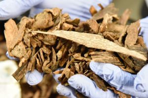 Customs seizes smuggled agarwood