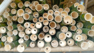 Mainstream use of bamboo in construction urged amid housing shortage and climate change