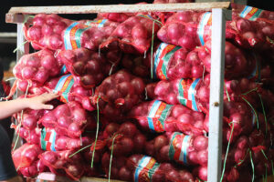 Low onion inventories trigger import order for 4,000 MT