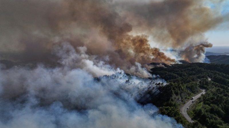 Wildfires sweep through forests in drought-hit Syrian coast in major test for new government