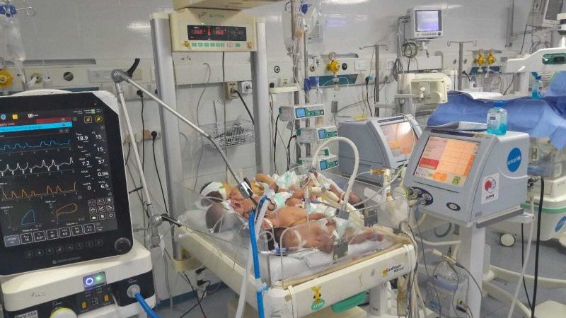 Desperate Gaza doctors cram several babies into one incubator as fuel crisis reaches critical point