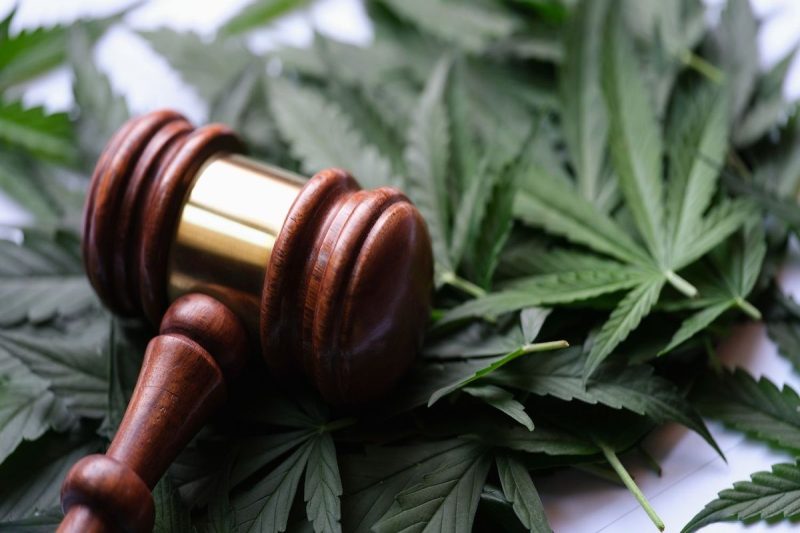 Cannabis Crossroads: Record US Demand Meets Federal Gridlock