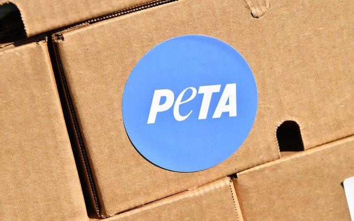 DAN GAINOR: The 5 craziest stories of October — from Karine Jean-Pierre to PETA plaques