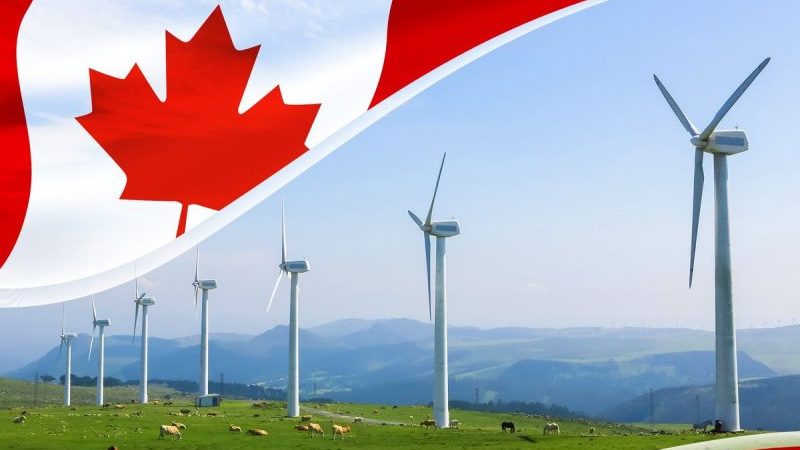 5 Best-performing Canadian Cleantech Stocks of 2025