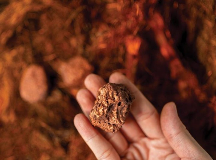 PPC, Lundin Freeze 2026 Processing Fees As Smelters Near Breaking Point