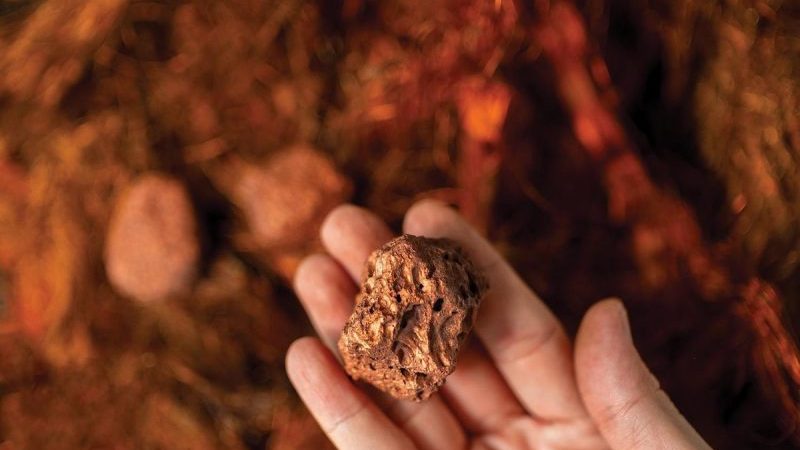 PPC, Lundin Freeze 2026 Processing Fees As Smelters Near Breaking Point