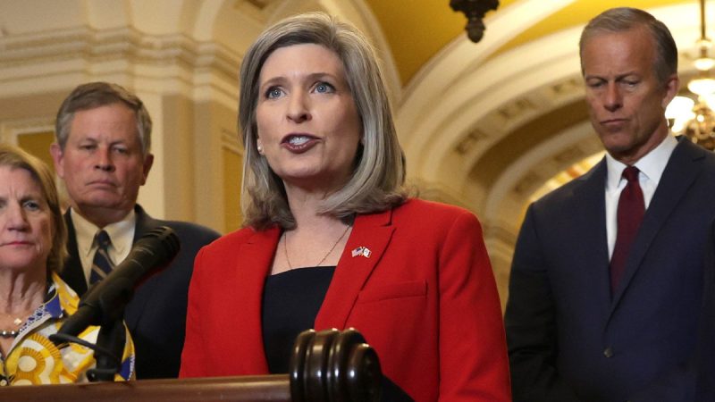 EXCLUSIVE: Senate bill targets Minnesota-style ‘runaway fraud’ to force scammers to repay taxpayers