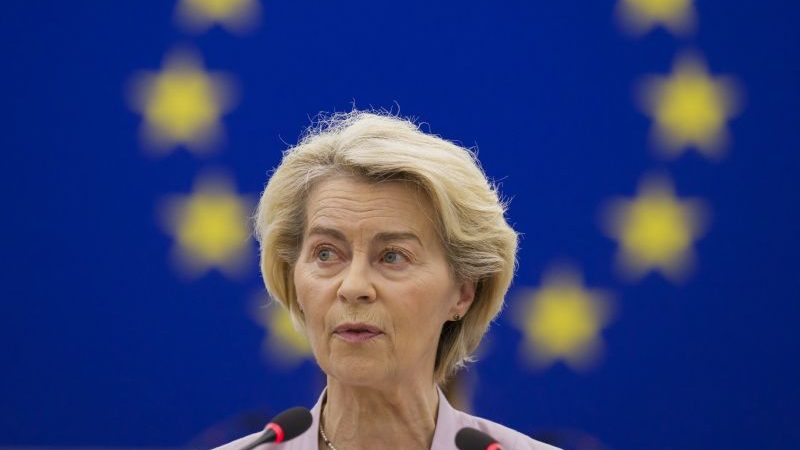 EU’s von der Leyen survives parliament confidence vote brought by far-right